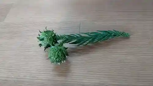 船魂神社の自然