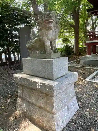 小金八坂神社の狛犬