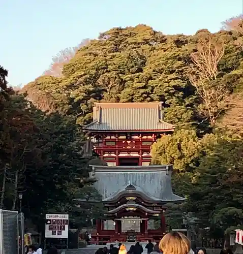 鶴岡八幡宮(神奈川県)