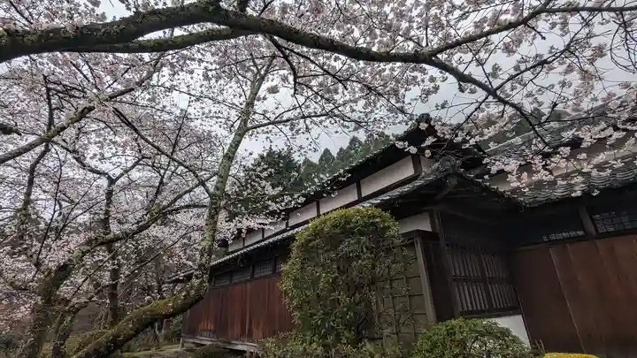 勝持寺(花の寺)(京都府)