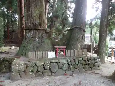 室生龍穴神社のその他建物