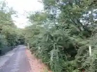 梨木神社の自然