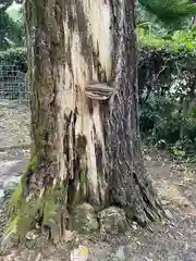 酒解神社(三重県)