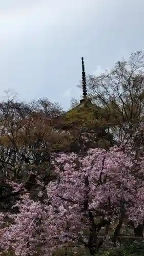 真正極楽寺（真如堂）(京都府)