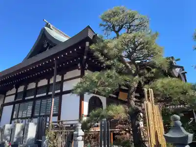 栄林寺の{uncategorized: "未分類", other: "その他", undefined: "問題あり", building: "その他建物", grave: "お墓", sacred_gate: "鳥居", guardian: "狛犬", statue: "像", buddha: "仏像", history: "歴史", nature: "自然", garden: "庭園", animal: "動物", pagoda: "塔", temizu: "手水舎", mountain_gate: "山門・神門", sanctuary: "本殿・本堂", subordinate: "末社・摂社", art: "芸術", scenery: "景色", jizo: "地蔵", ema: "絵馬", goshuin: "御朱印", omikuji: "おみくじ", items: "授与品その他", amulet: "お守り", goshuincho: "御朱印帳", eats: "食事", festival: "お祭り", votive_dance: "神楽", shichigosan: "七五三参", wedding: "結婚式", experience: "体験その他", initially: "初詣", around: "周辺", anti_infection: "感染症対策"}