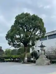 高城神社(長崎県)