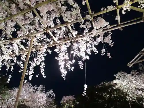 平安神宮の庭園