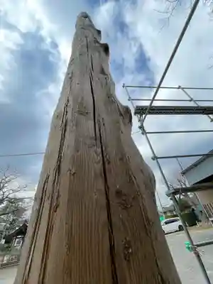 大津諏訪神社(神奈川県)