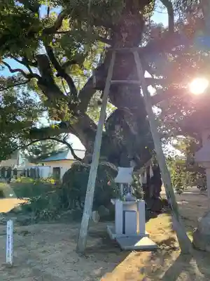 善通寺(香川県)