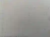 尊陽院(京都府)