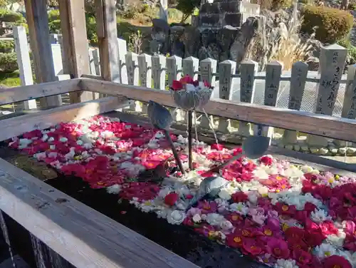 成田山名古屋別院大聖寺(犬山成田山)(愛知県)