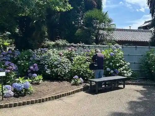 性海寺(愛知県)