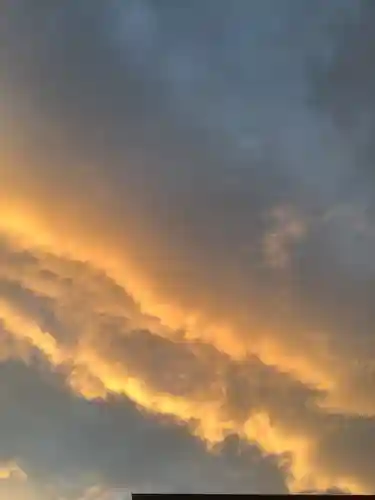 三輪神社の自然