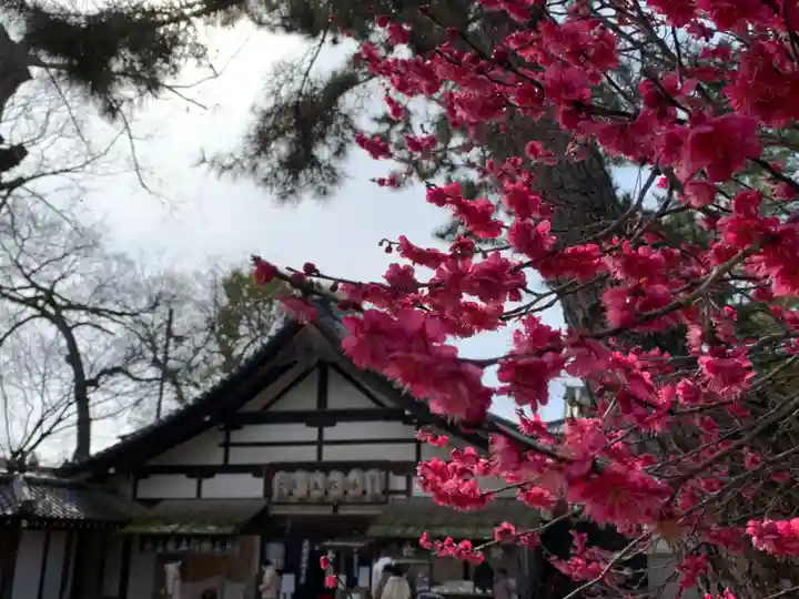 北野天満宮の自然