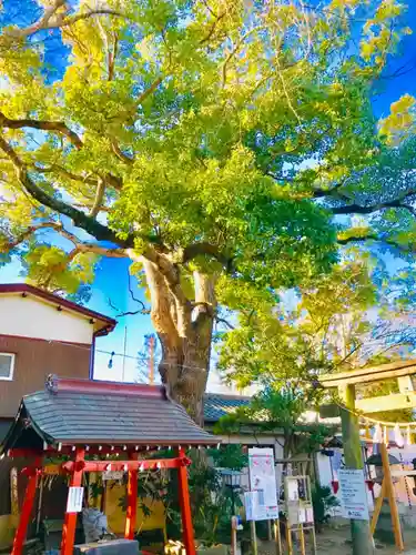 龍ケ崎八坂神社のその他建物