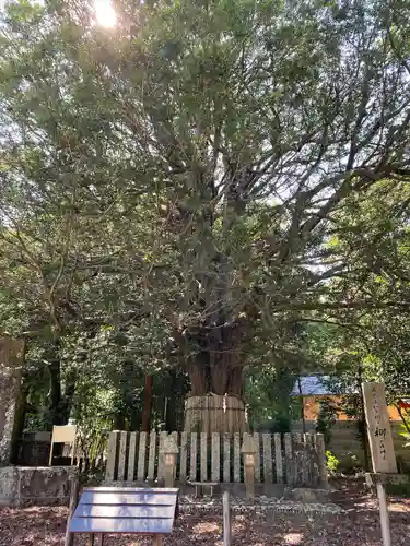 熊野速玉大社の自然