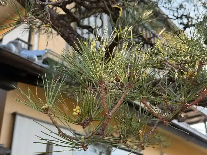 西方山極楽寺(岐阜県)