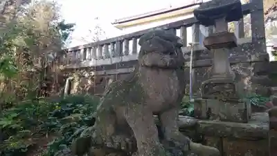 大杉神社の狛犬