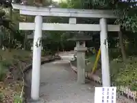八幡社(柏井町)の鳥居