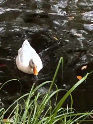 平塚八幡宮(神奈川県)