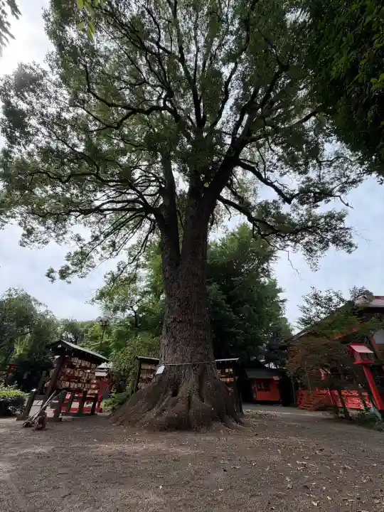 冠稲荷神社(群馬県)