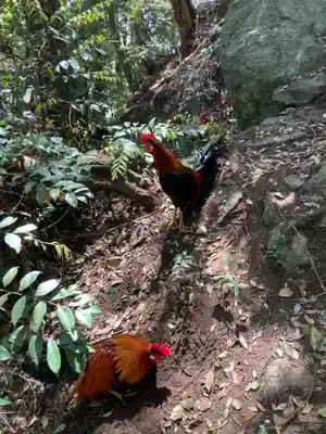 大甕神社(茨城県)
