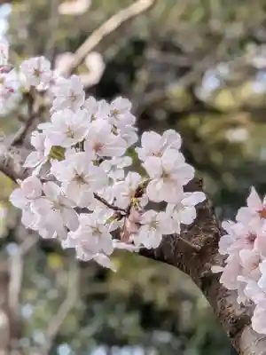 大宮八幡宮(東京都)