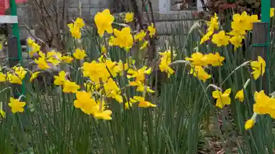 橋寺 放生院(京都府)