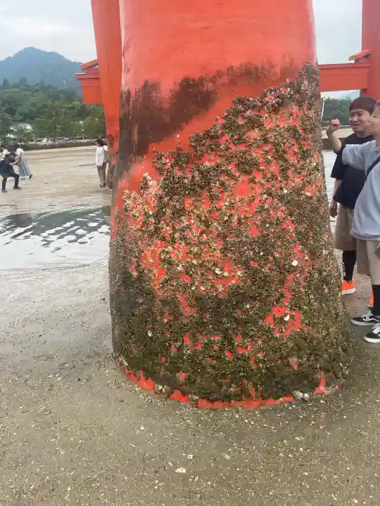 厳島神社(広島県)