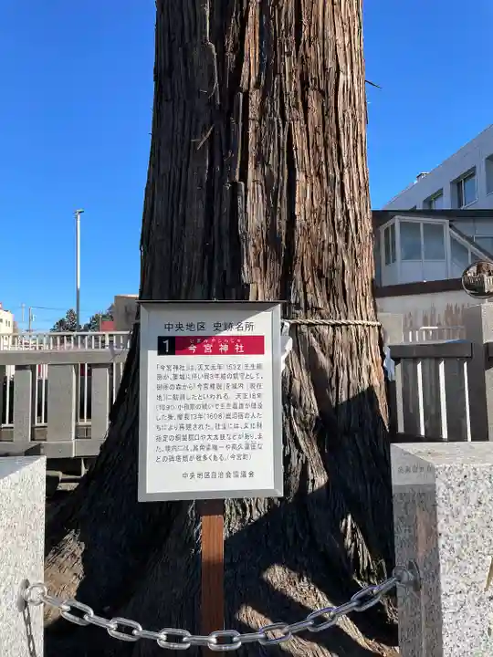 鹿沼今宮神社(栃木県)