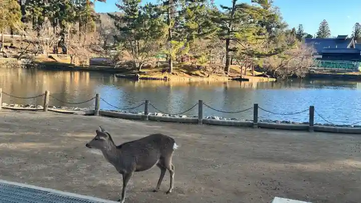 厳島神社(東大寺境内社)(奈良県)