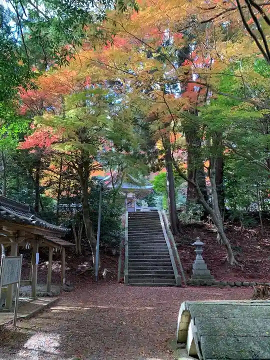 八坂神社・境内社川枯社(滋賀県)