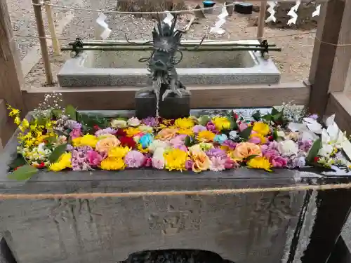 玉前神社(千葉県)