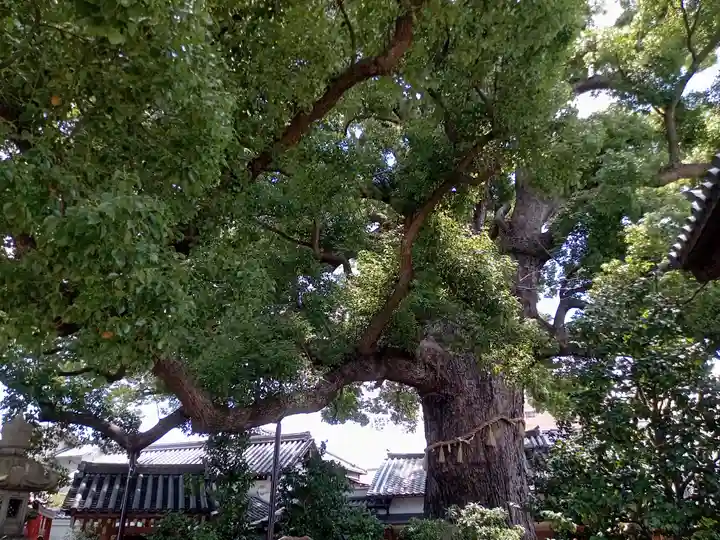 法楽寺(大阪府)