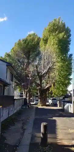 愛宕神社の自然