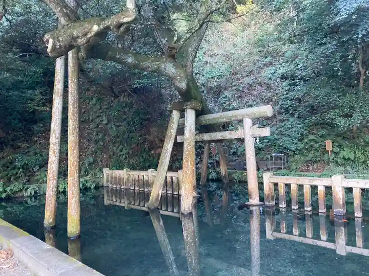 鹿島神宮(茨城県)