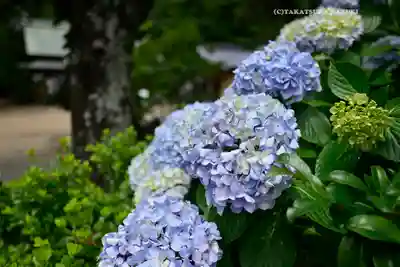 鎌数伊勢大神宮(千葉県)