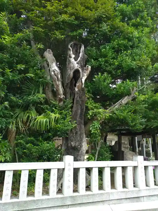 柏諏訪神社(千葉県)