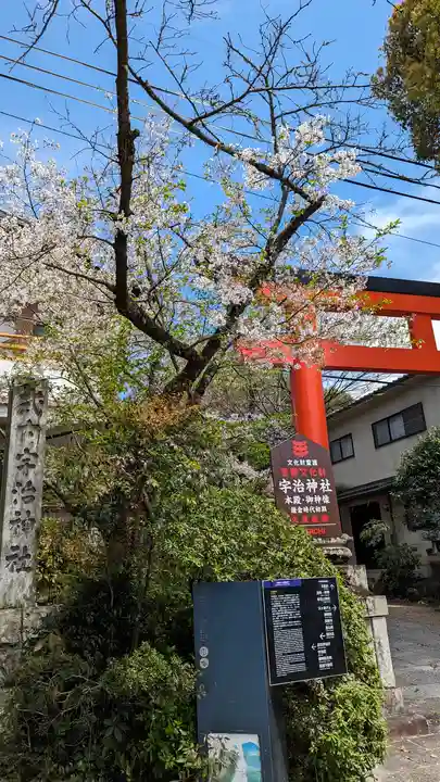 宇治神社の自然
