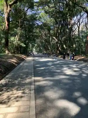 明治神宮(東京都)