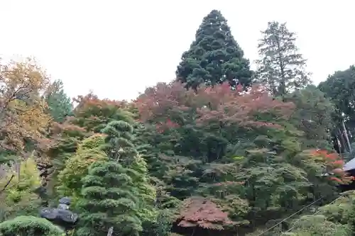 法雲寺の庭園