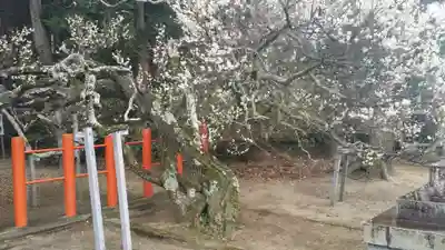 息栖神社のその他建物