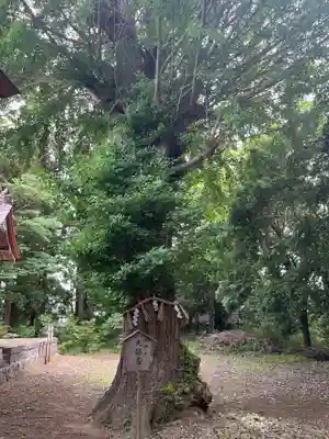 津島神社(宮城県)