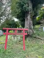 神明社(東京都)