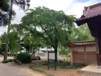 妙宣寺のその他建物