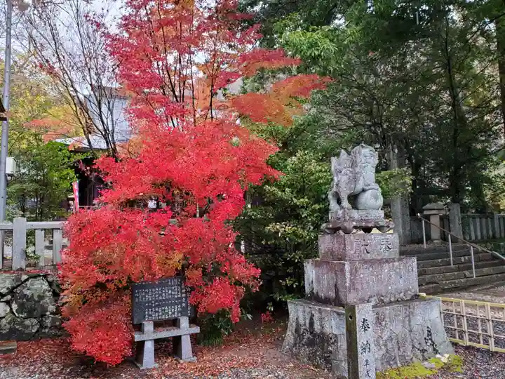 熊野神社の自然