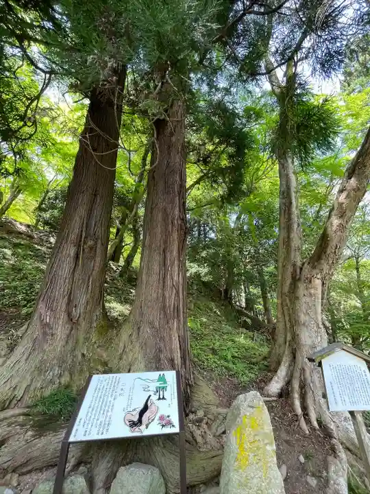 長谷寺(奈良県)