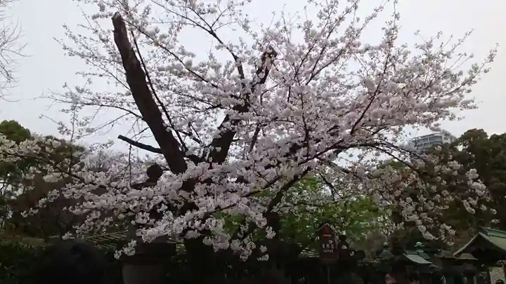 上野東照宮(東京都)