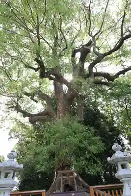 和泉國一之宮　大鳥大社(大阪府)