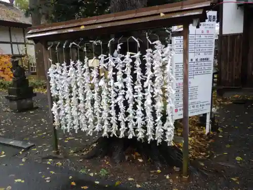 旭川神社のおみくじ